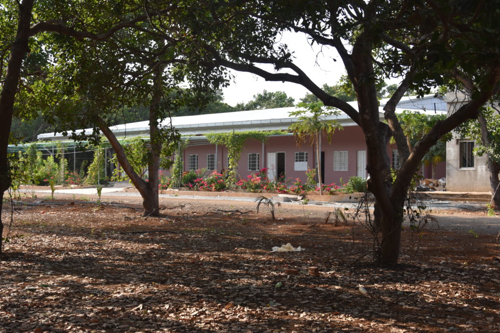 Une image contenant plein air, arbre, sol, plante
Description générée automatiquement