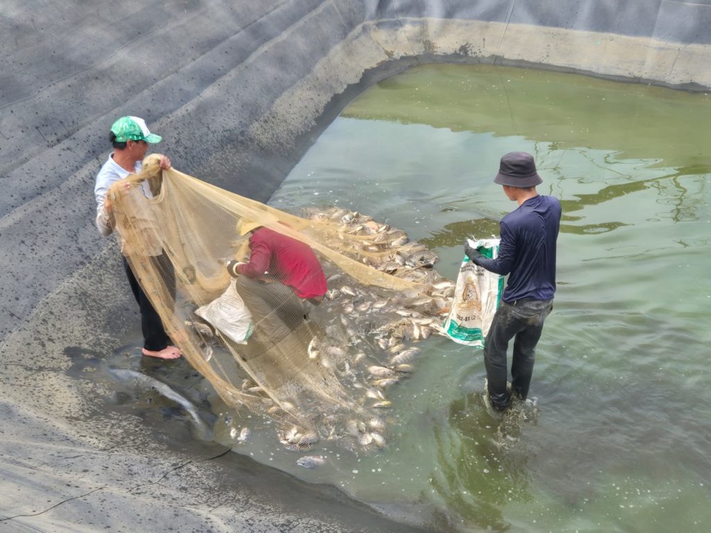 Une image contenant texte, Graphique, Police, graphisme
Description générée automatiquement